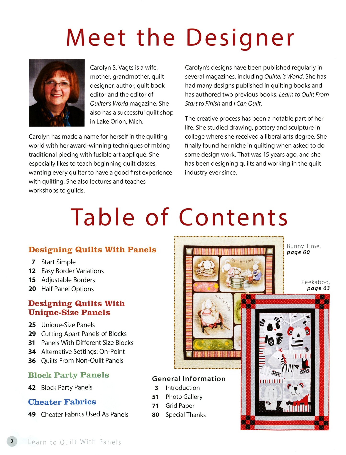Learn to Quilt With Panels