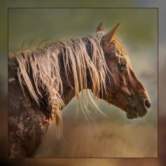Lonely Stallion Closeup Fabric Panel - AHS-006C