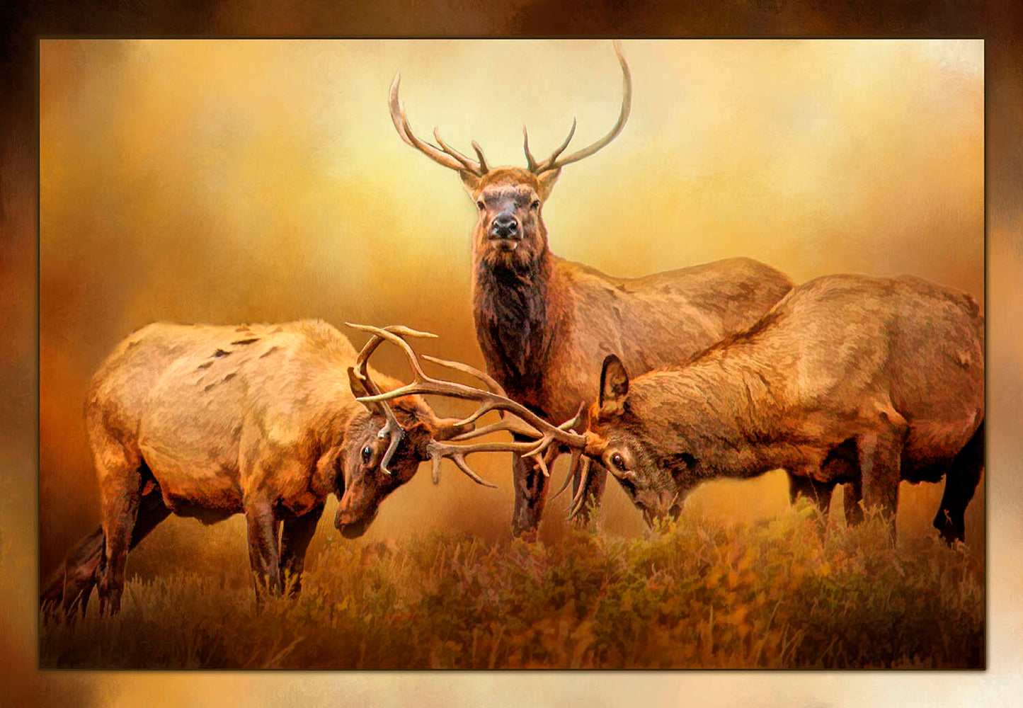 Three Bull Elk Fabric Panel - ANW-009C