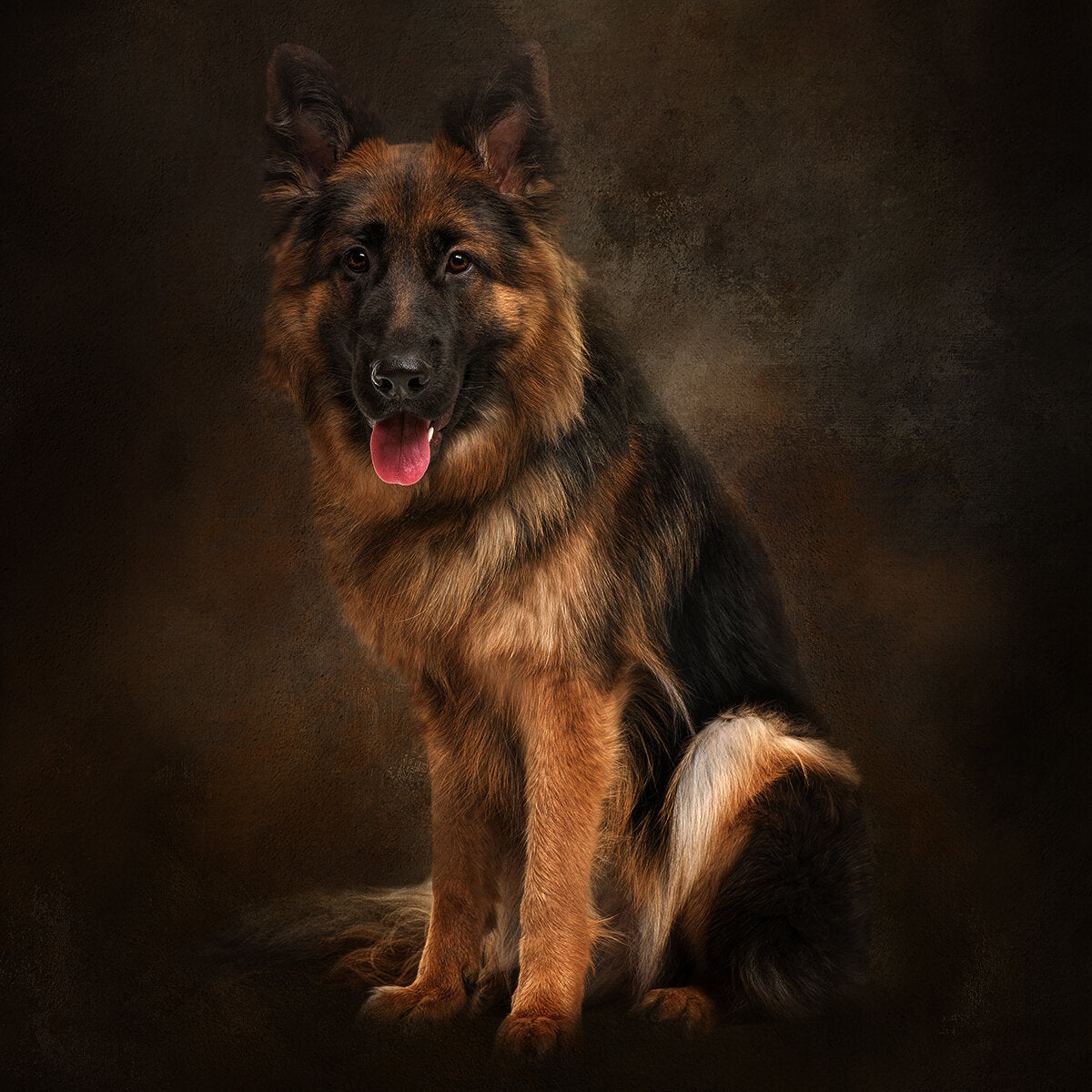 Fun Size A Handsome German Shepard Fabric Panel - FUN-043