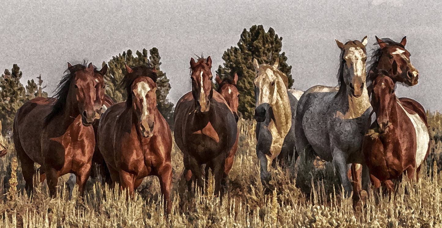 A Mini Stampede Fabric Panel - AHS-018C