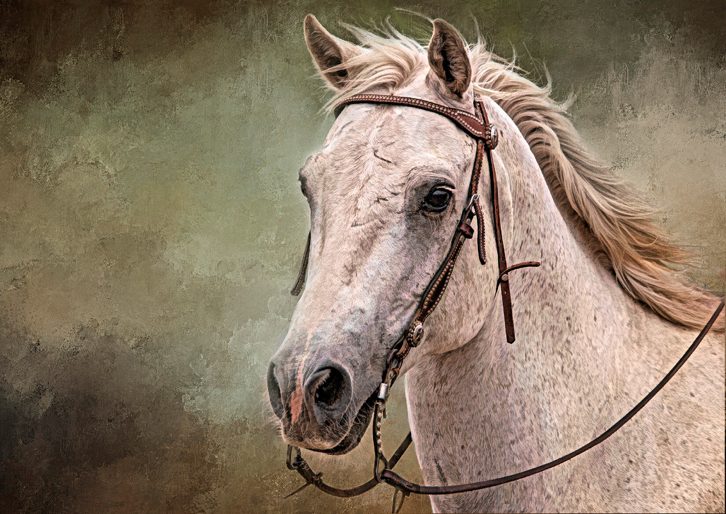A Handsome Horse Fabric Panel - AHS-016C