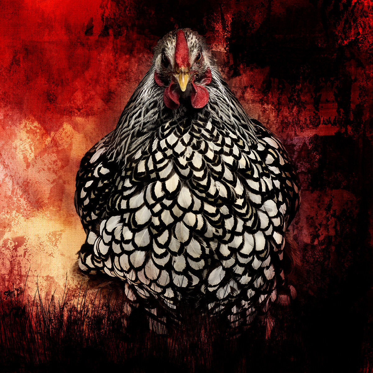 Fun Size Angry Chicken Fabric Panel - FUN-007