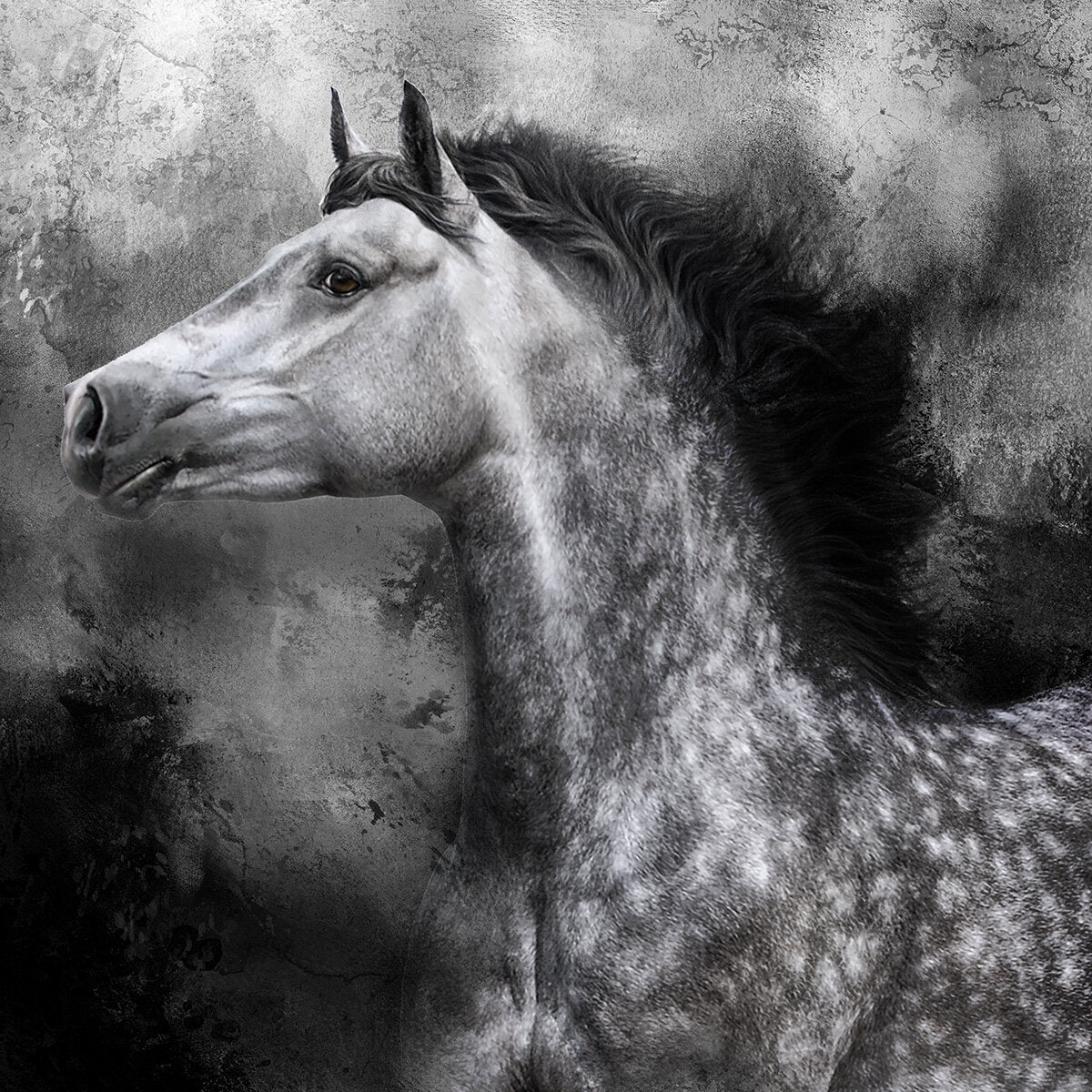 Arabian Stallion Fabric Panel - AHS-040C