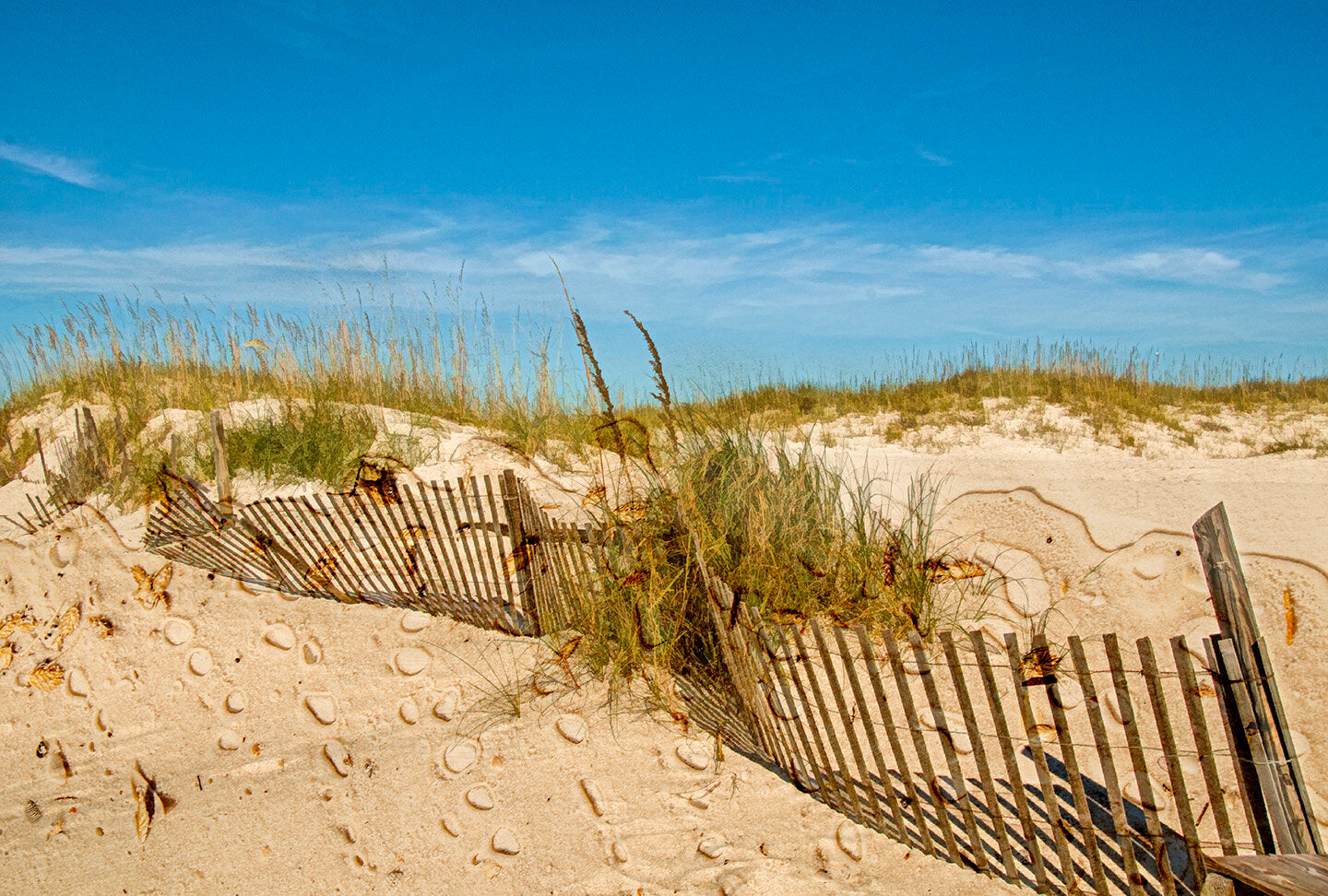 At the Beach Fabric Panel - OCE-056C