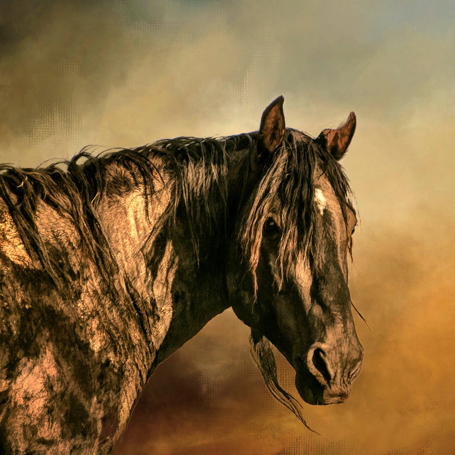 Grungy Stallion Closeup Fabric Panel - AHS-004C