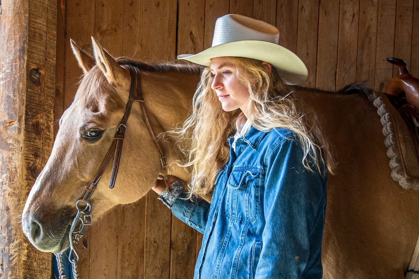 A Girl and Her Horse Fabric Panel - CBY-016C