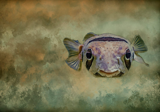 Myopic Puffer Fish Fabric Panel - OCE-023C