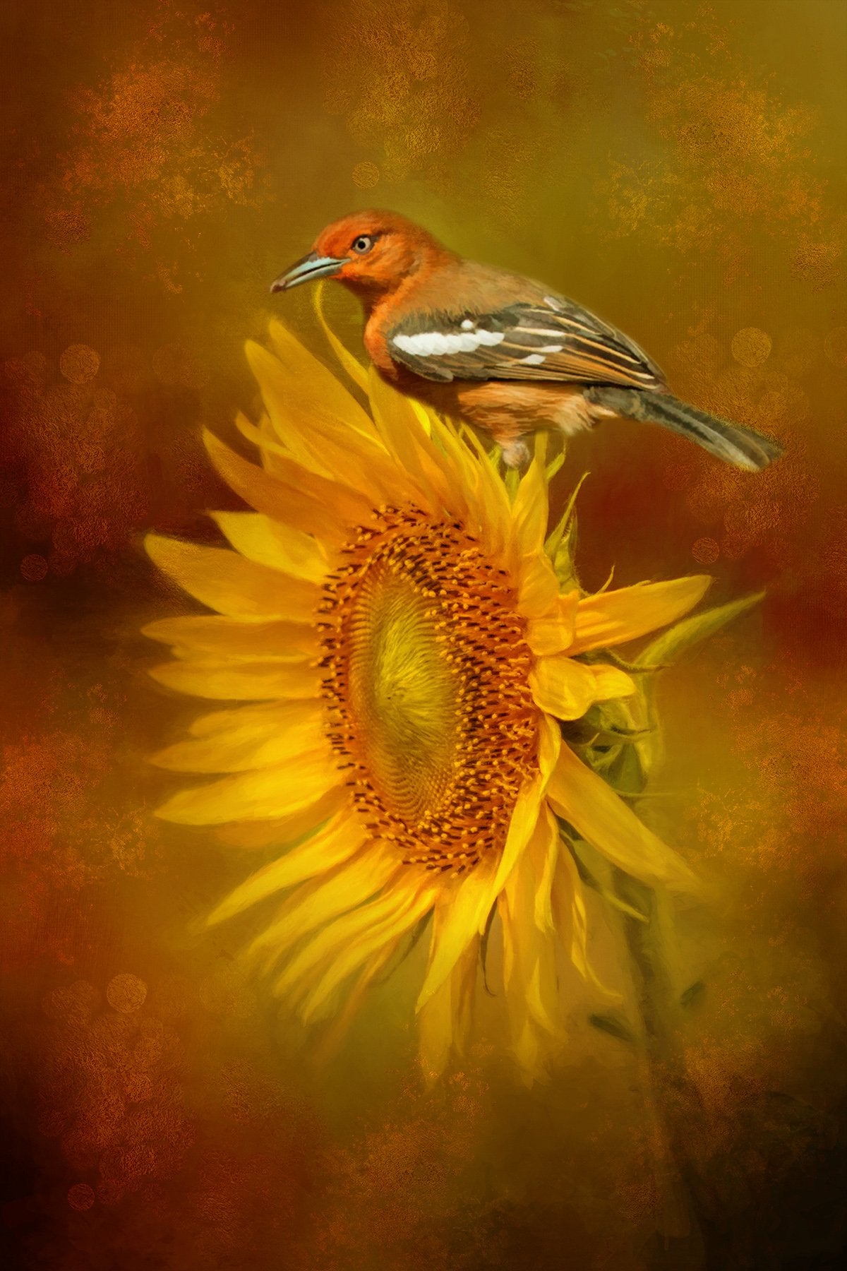 Bird on Sunflower Fabric Panel - FLR-030C