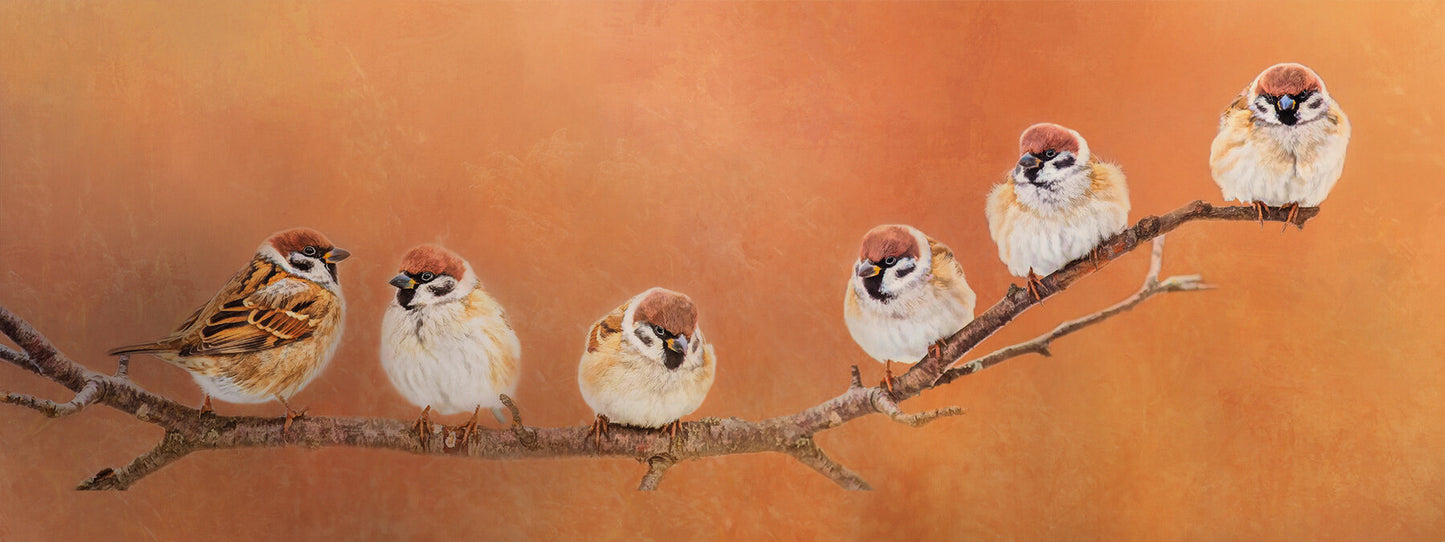 Birds on a Limb Fabric Panel - BOS-001C
