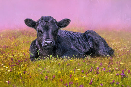 Fun Size Black Angus Calf in Flowers Fabric Panel - FUN-026