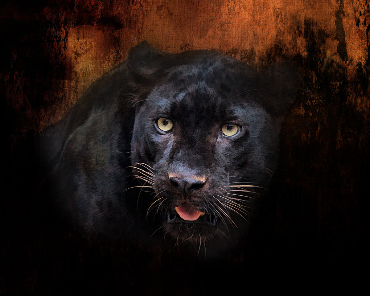 Black Panther Fabric Panel - AWC-003C