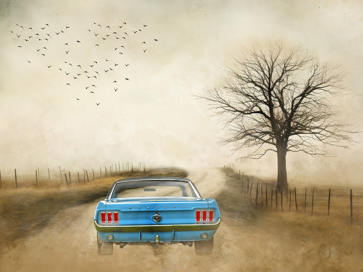 Blue Mustang Fabric Panel - TVC-022C