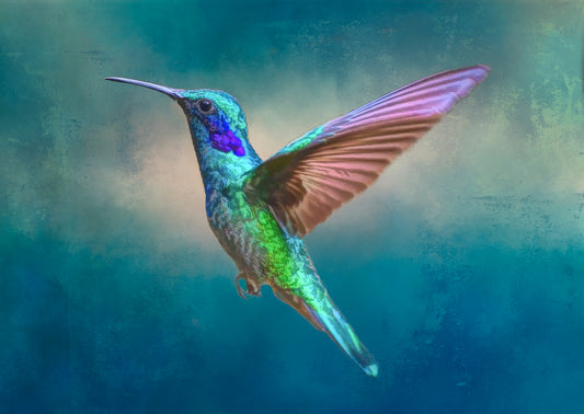 Fun Size Bejeweled Beauty Hummingbird in Flight without Feathers Fabric Panel - FUN-052