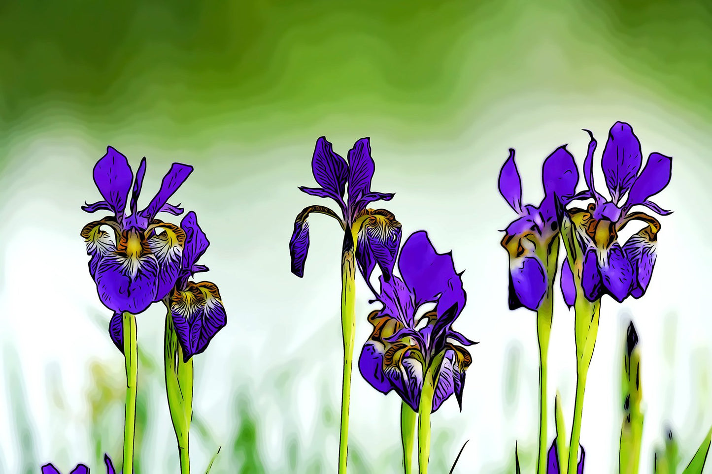 Bright Iris Fabric Panel - FLR-011C