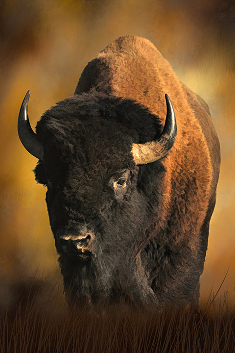 Fun Size I'm the Boss Bull Bison Fabric Panel - FUN-036
