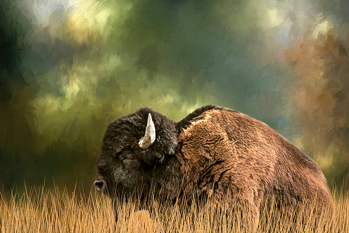 Reclining Buffalo Fabric Panel - ANW-027C