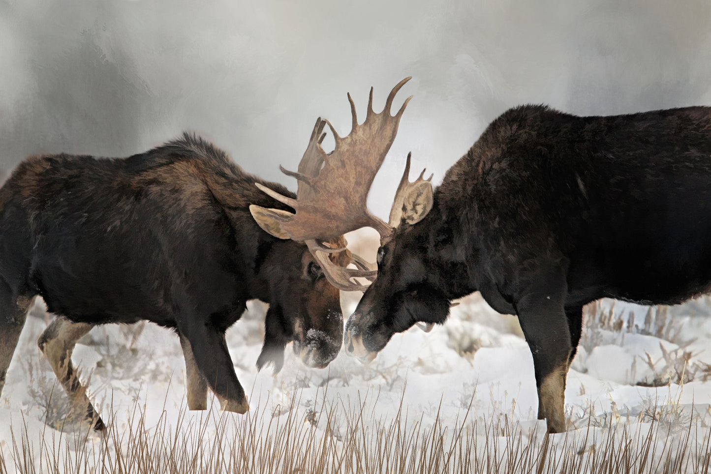 Two Entangled Bull Moose Fabric Panel - ANW-034C