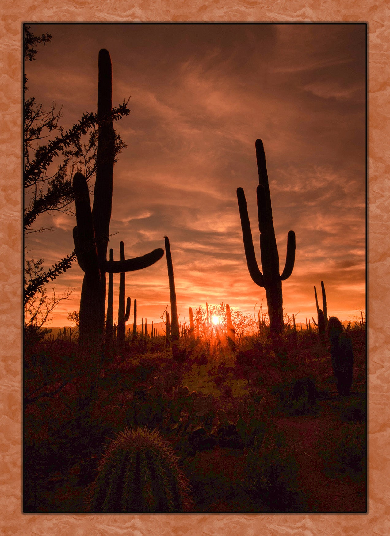 Two Saguaro Sunset Fabric Panel - DCS-014C