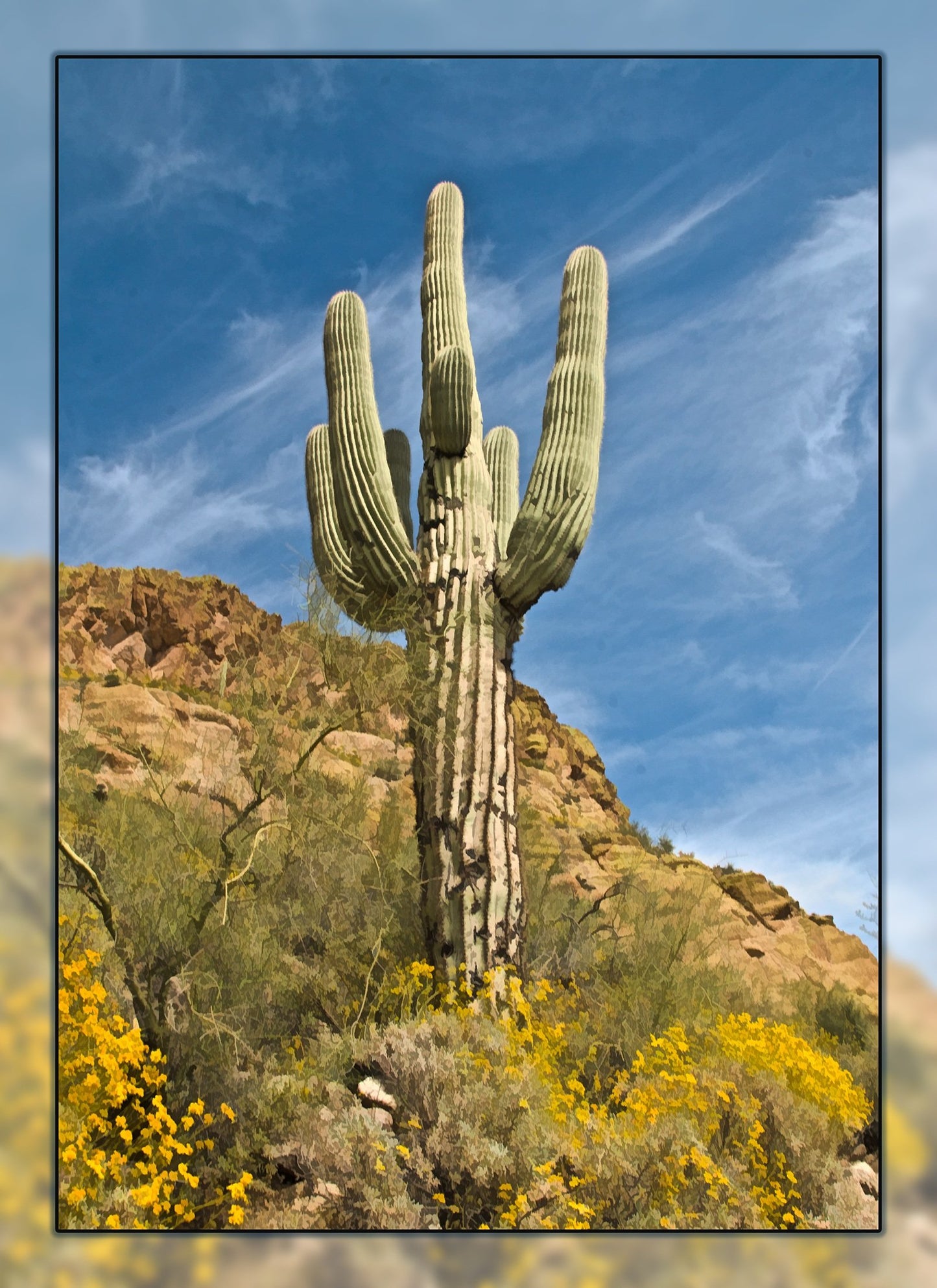 Saguaro on the Hill Fabric Panel - DCS-016C