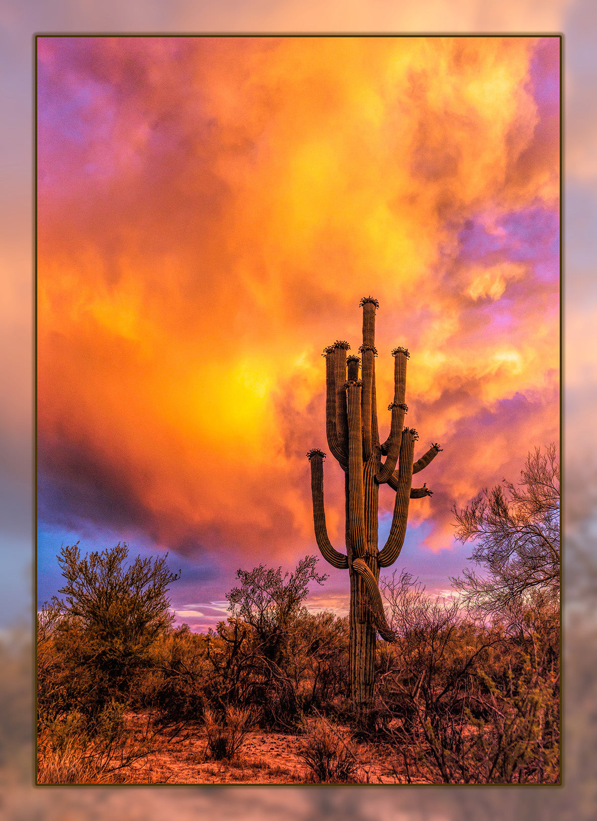 Fun Size Saguaro Sunset Fabric Panel - FUN-028
