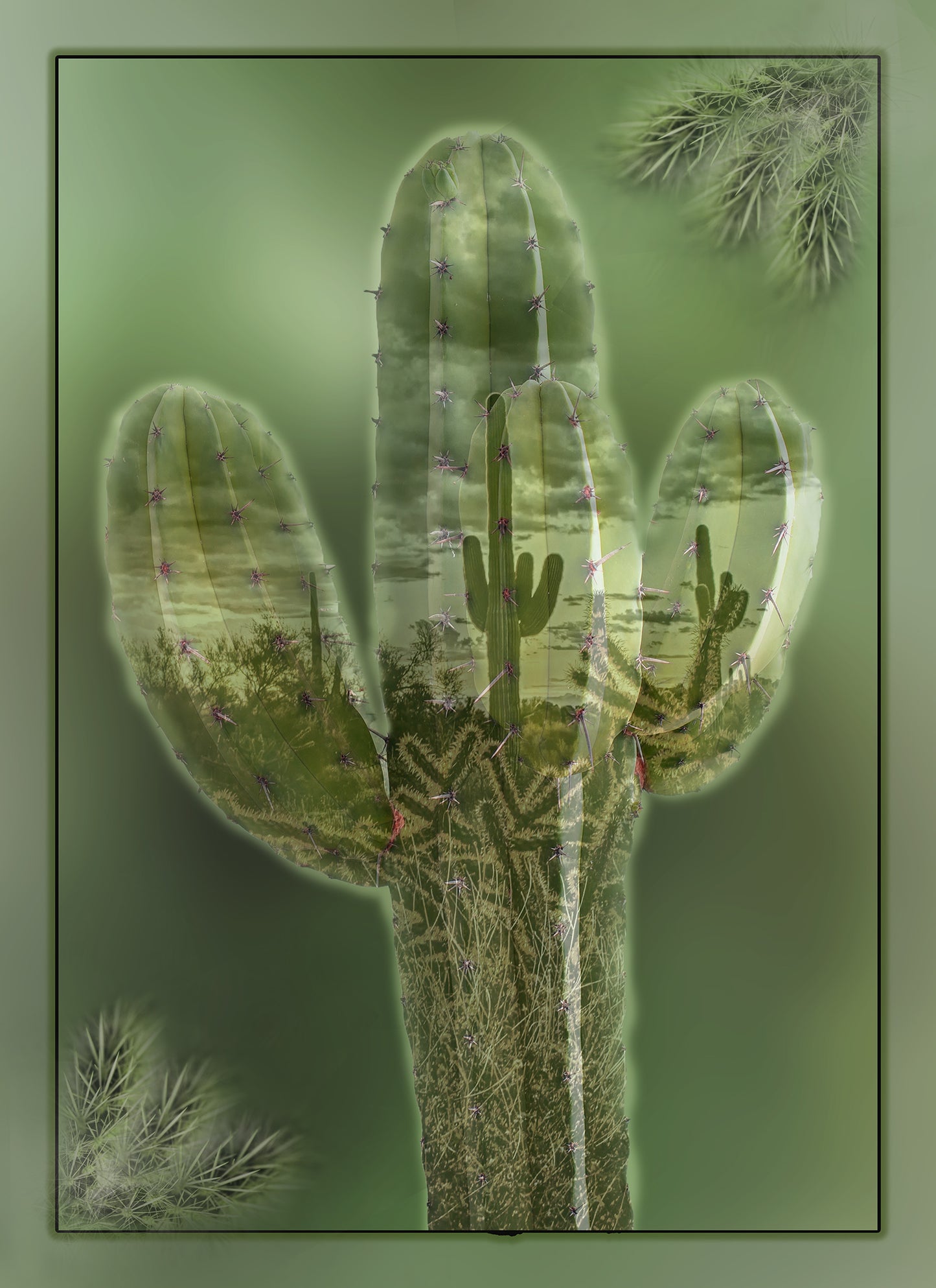 Fun Size Cactus within a Cactus Fabric Panel - FUN-034