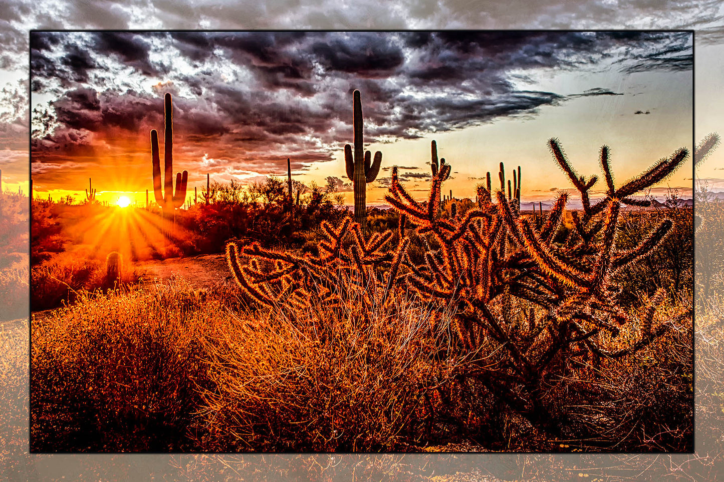 Cactus Sunset Fabric Panel - DCS-006C