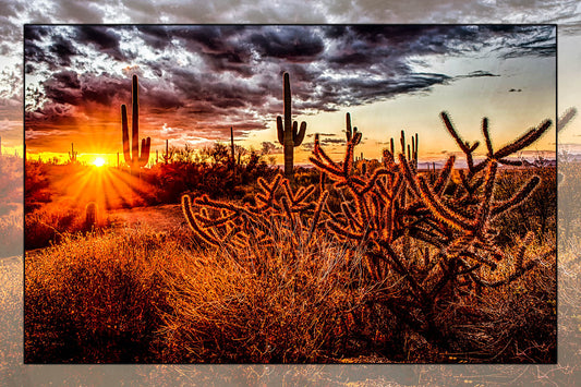 Fun Size Cactus Sunset Fabric Panel - FUN-027