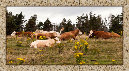 Relaxed Cows Fabric Panel - ACW-003C