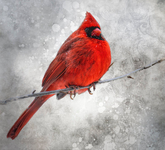 Fun Size Red Cardinal in Snow Fabric Panel - FUN-055