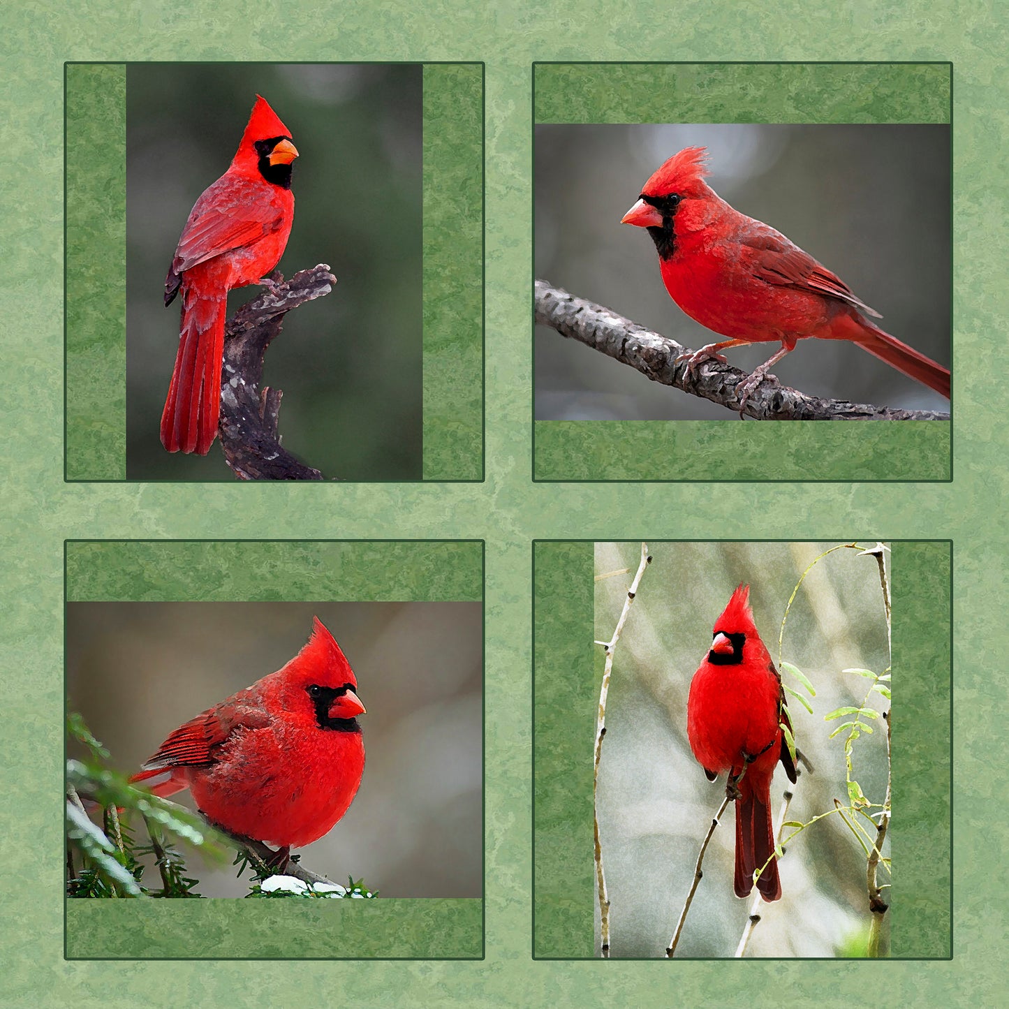 Four Red Cardinals Fabric Panel - BRB-002C