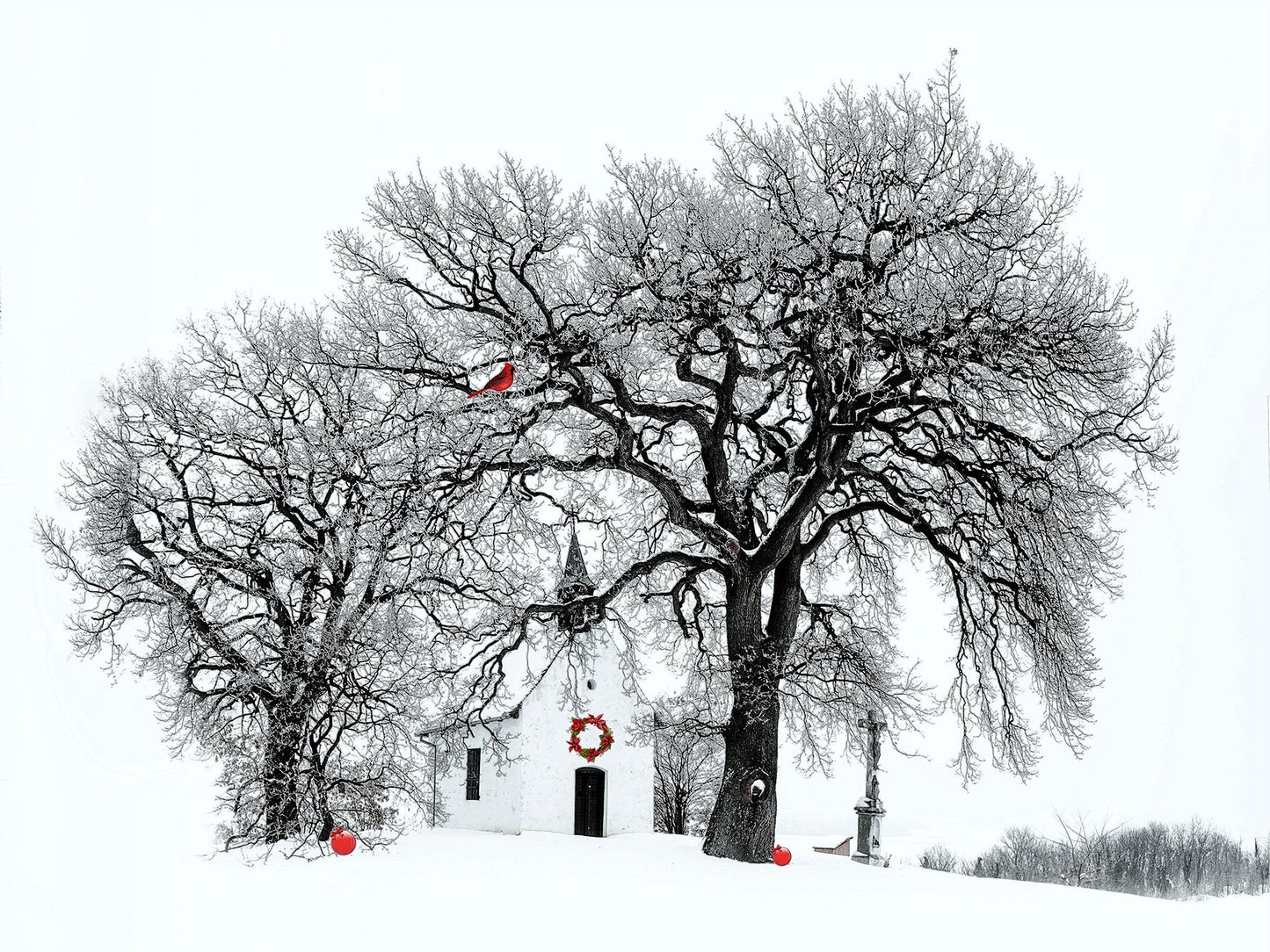 A Splash of Holiday Color Fabric Panel - HOL-005C