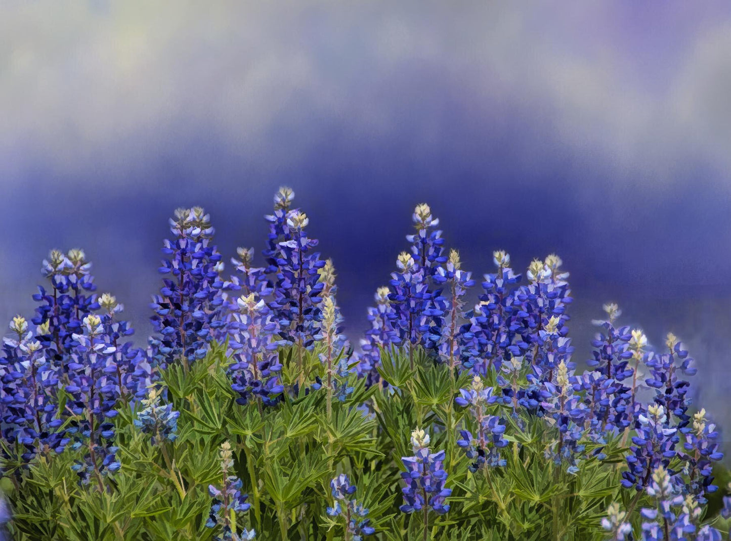 Textured Lupine Fabric Panel - FLR-001C