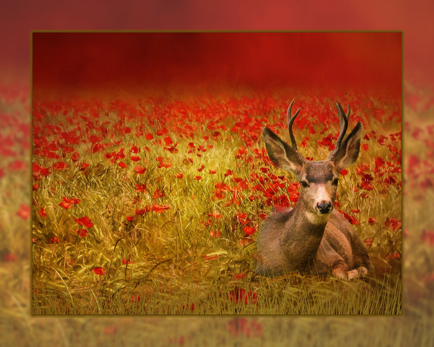 Deer in Poppy Field Fabric Panel - ANW-013C