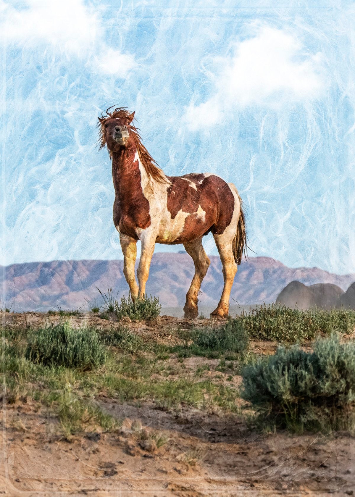 Defiant Paint Stallion Fabric Panel - AHS-042C