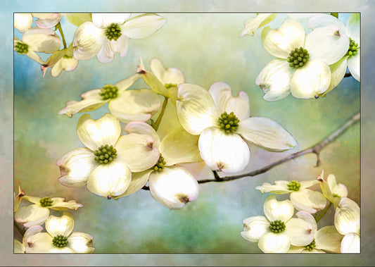 White Dogwood Framed Fabric Panel FLR-045C