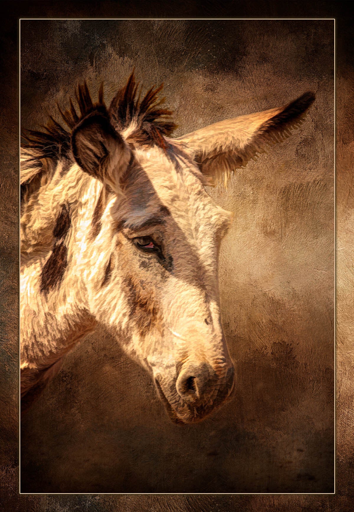 Flop-Ear Donkey Fabric Panel - AFF-001C