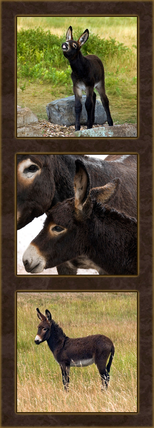 Three Vertical Donkeys Fabric Panel - AFF-002C