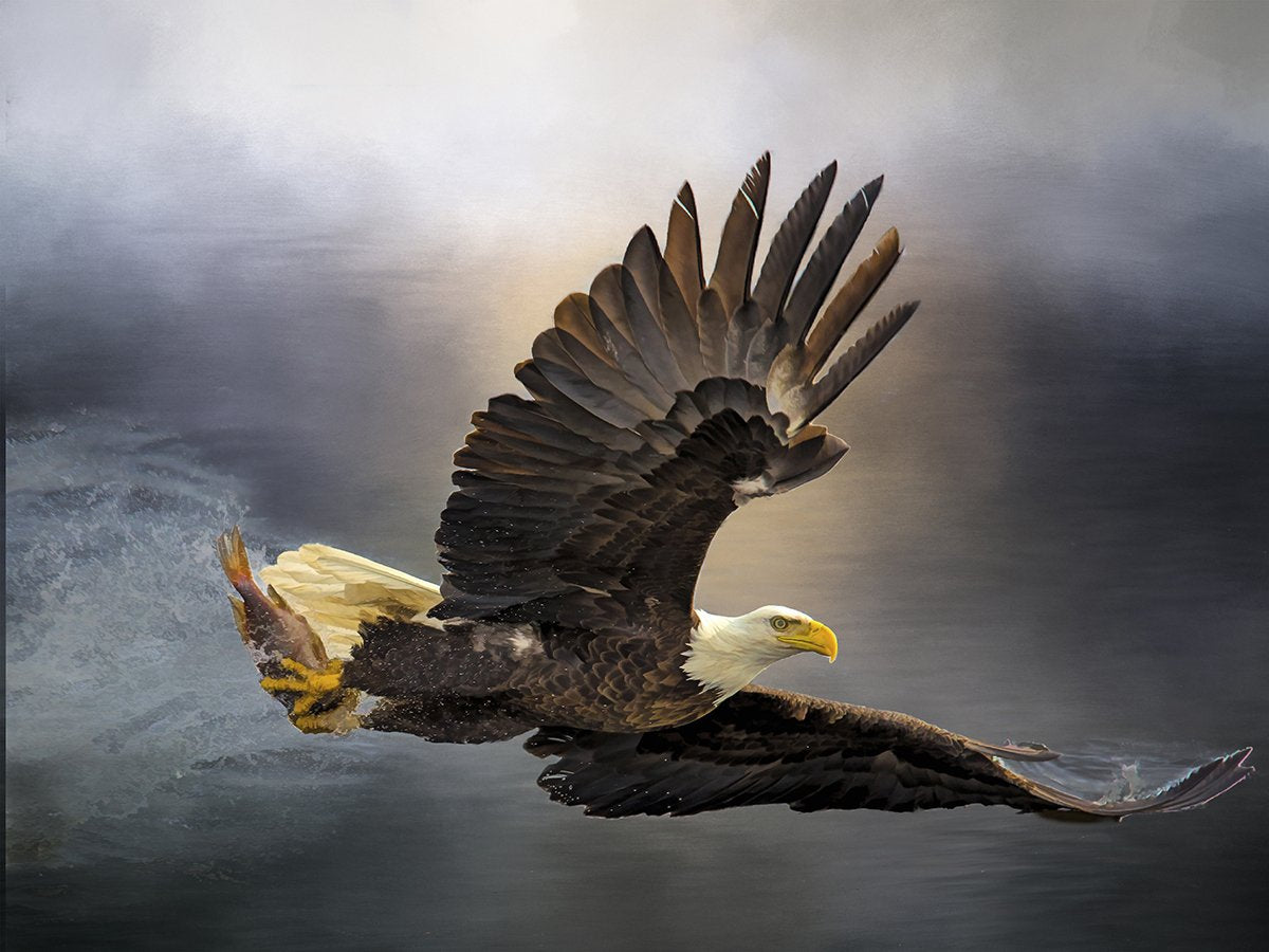 Bald Eagle with Dinner Fabric Panel - BBP-002C