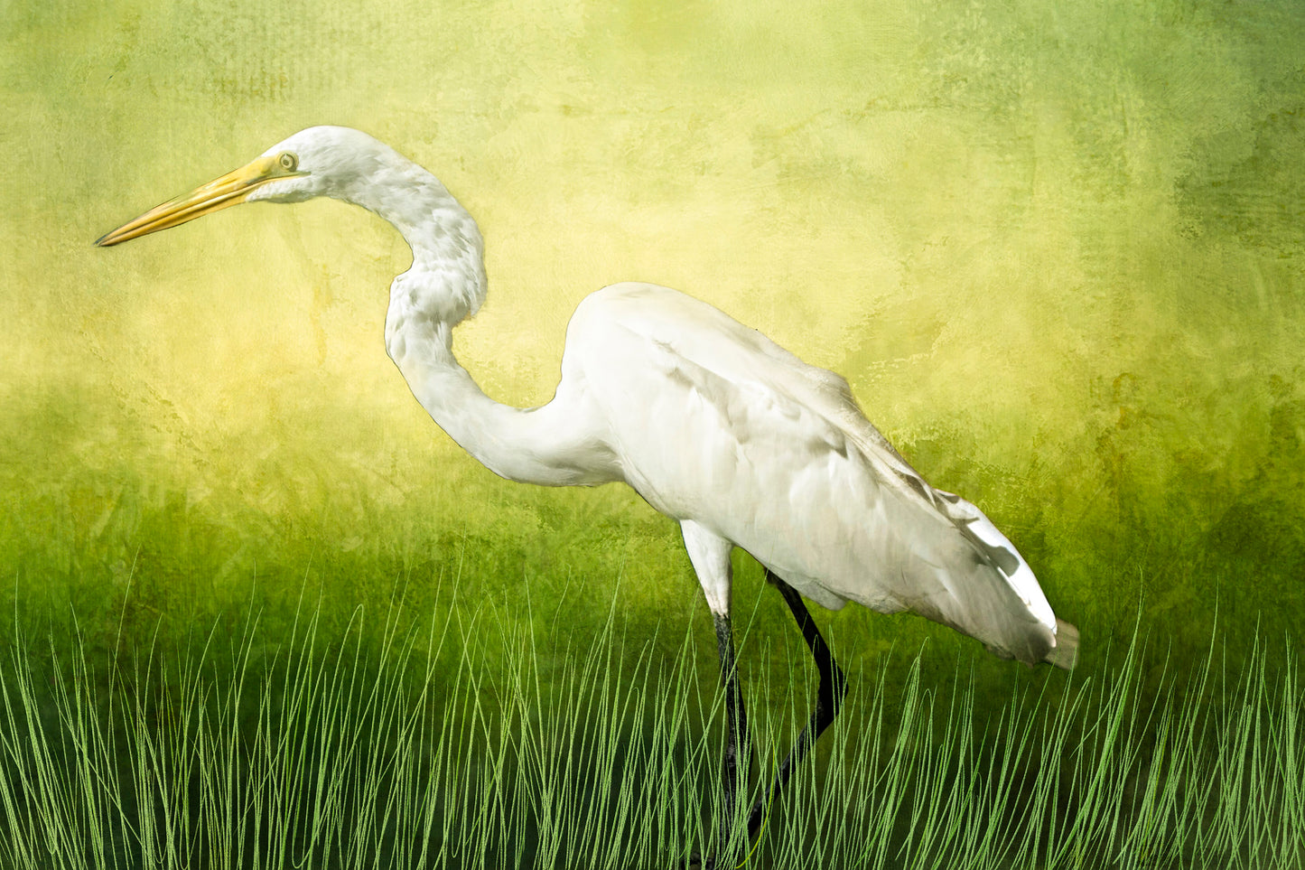 Silent Stalker Snowy Egret Fabric Panel - BSB-002C