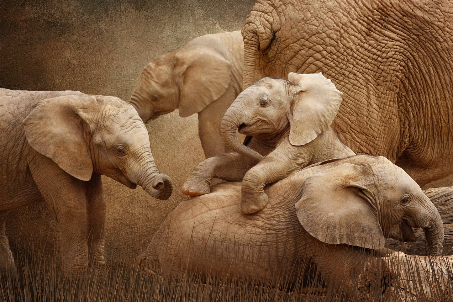 Baby Elephants at Play Fabric Panel - AEX-009C