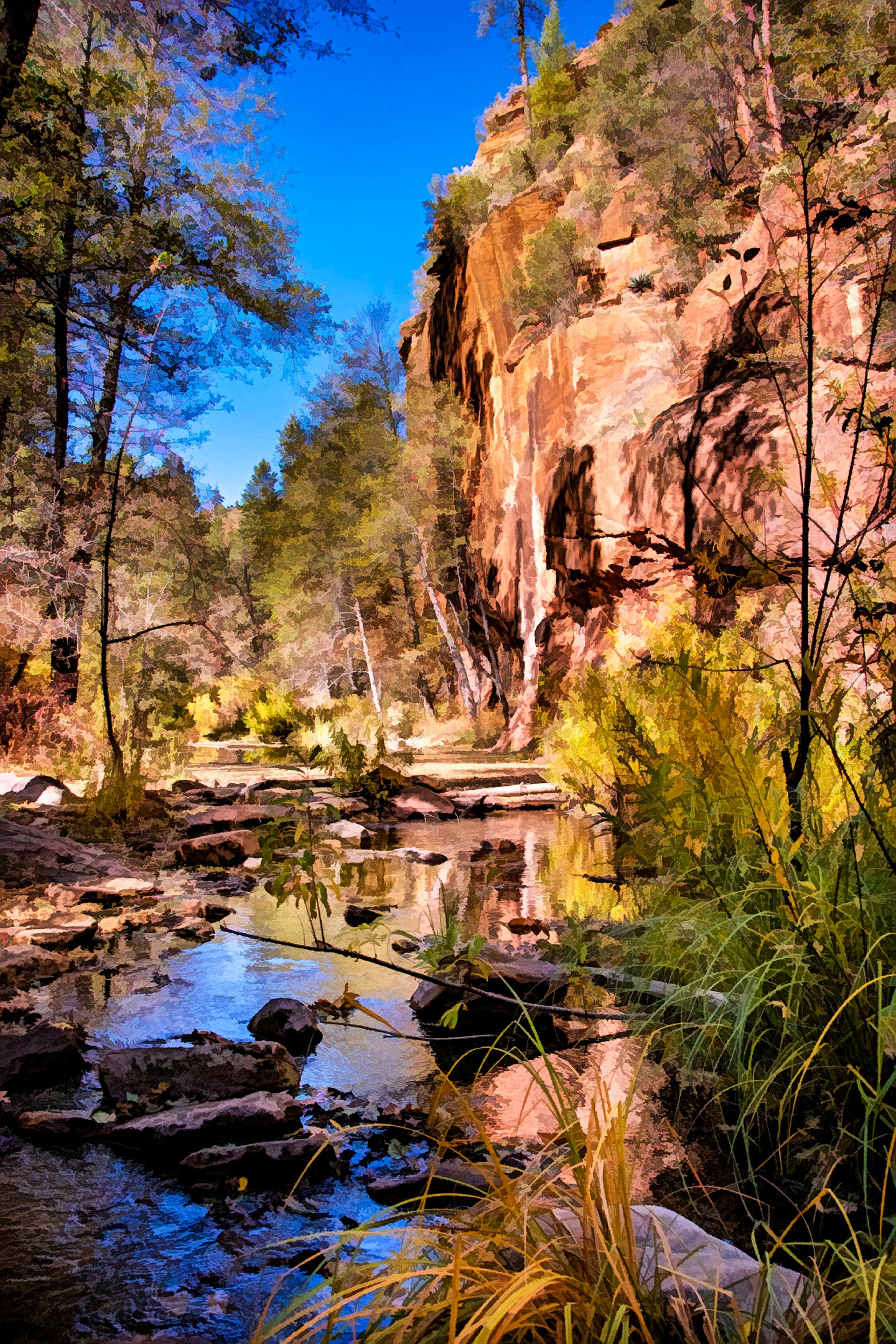 Fall in Oak Creek Canyon Fabric Panel - SAZ-004C