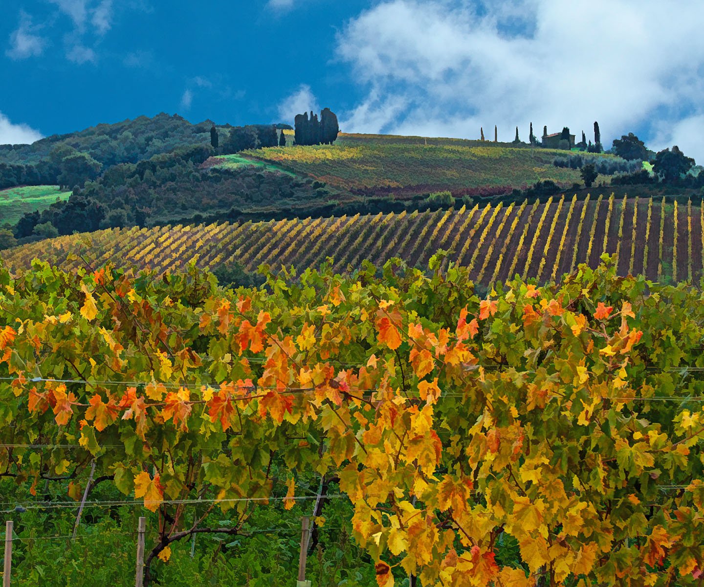 Fields of Tuscany Fabric Panel - SAP-008C