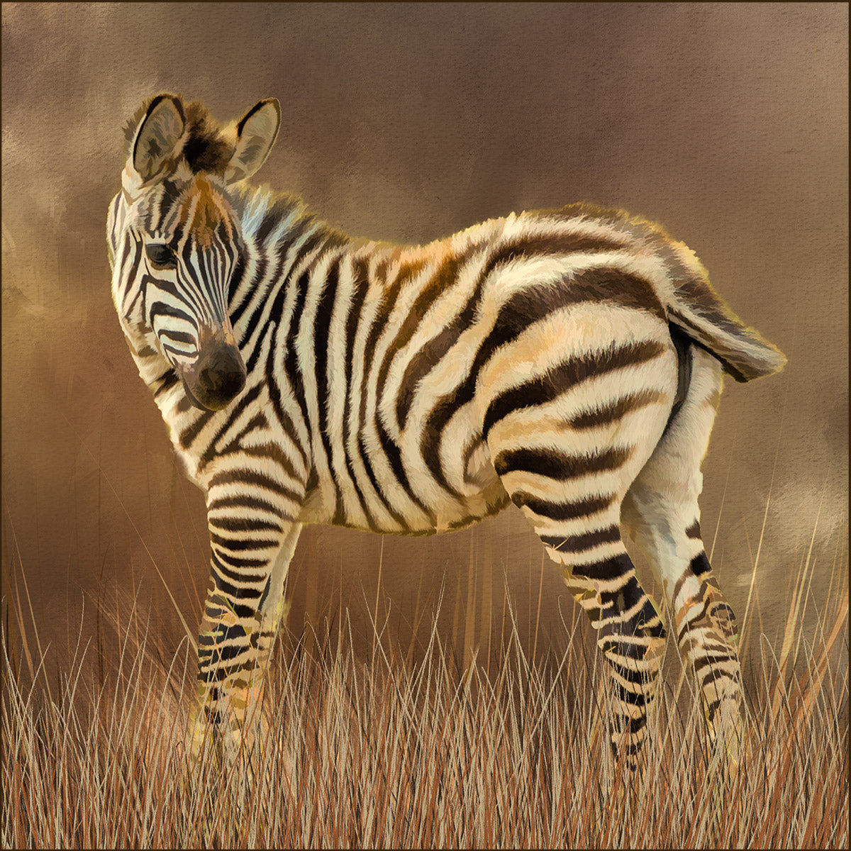 Young Zebra Fabric Panel - AEX-004C