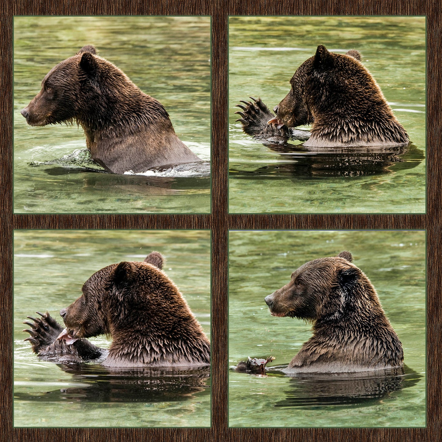 Fishing Grizzly Fabric Panel - ANW-037C