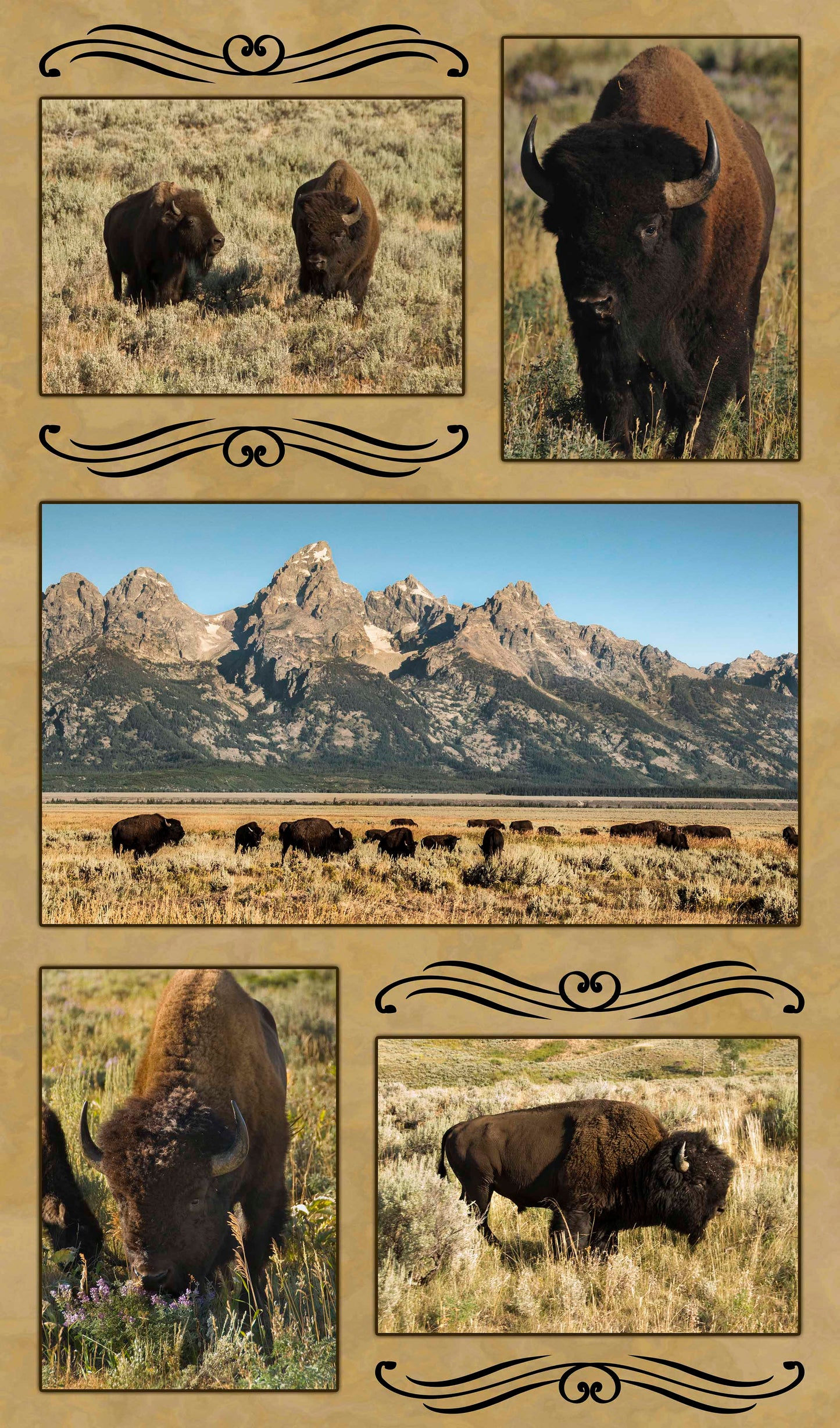 Buffalo Composite Fabric Panel - ANW-024C