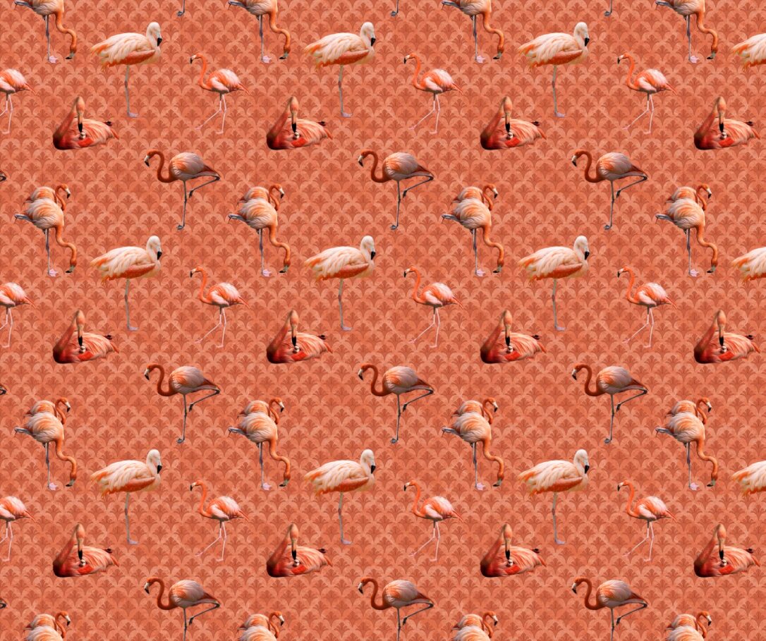 Pink Flamingo Fabric Fofy 018 Focus On Fabric Yardage