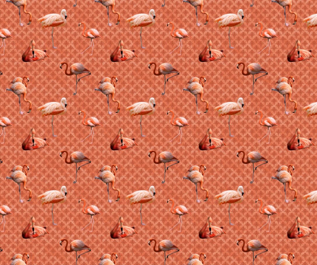 Pink Flamingo Fabric - FOFY-018 - Focus on Fabric Yardage