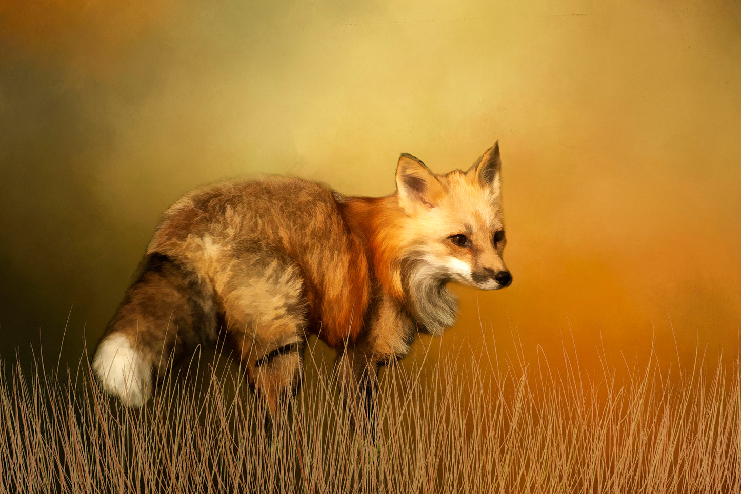 Red Fox Fabric Panel - ANW-059C