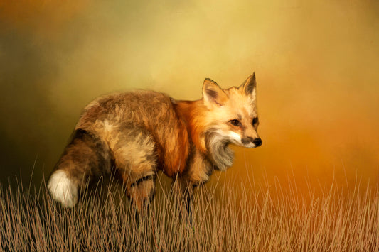 Red Fox Fabric Panel - ANW-059C
